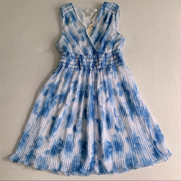 Max Studio Dresses & Skirts - NWT StudioM blue flower dress